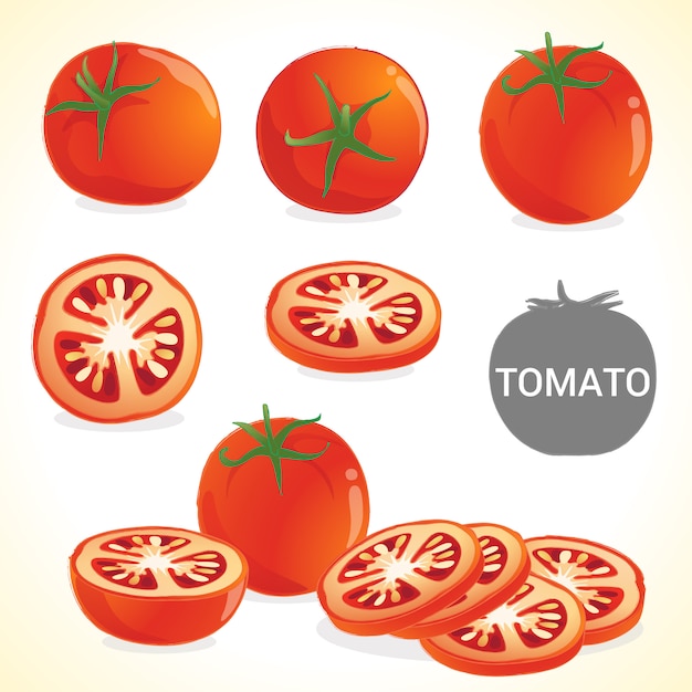 Vetor conjunto de tomate em vários formatos de vetor de estilos