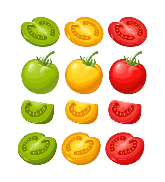 Conjunto de tomates de mão desenhada isolado no fundo branco. galho, inteiro, meio e fatia. ilustração em vetor plana cor. elemento de design desenhado à mão para etiqueta e pôster