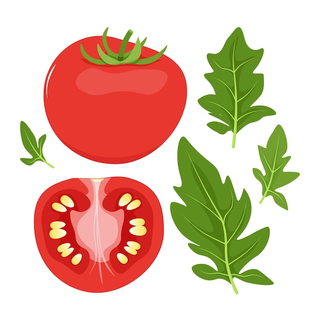 Vetor conjunto de tomates vermelhos e folhas verdes