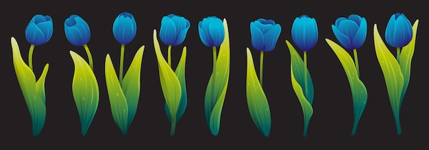 Conjunto de tulipas azuis florescendo