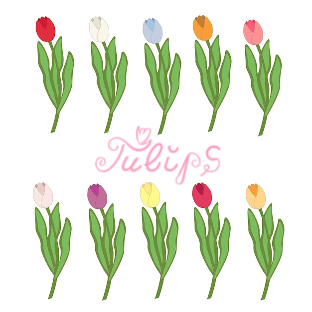 Conjunto de tulipas coloridas