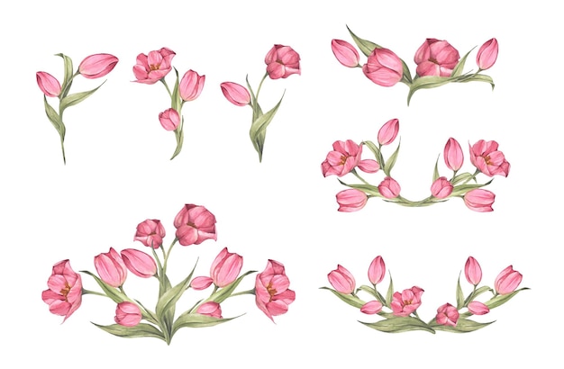 Conjunto de tulipas cor de rosa e folhas.