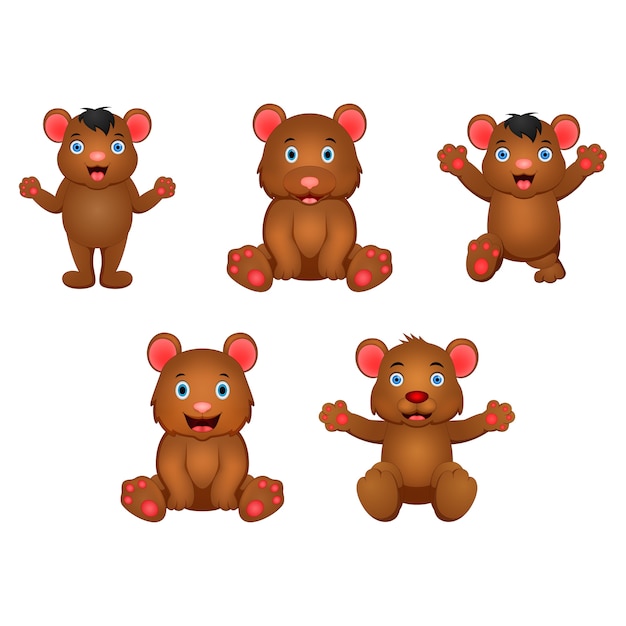 Conjunto de urso dos desenhos animados