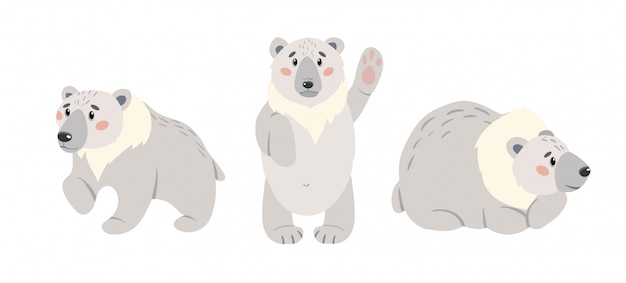 Vetor conjunto de urso polar bonito dos desenhos animados. ursos brancos do ártico isolados no fundo branco. conjunto de ilustração.