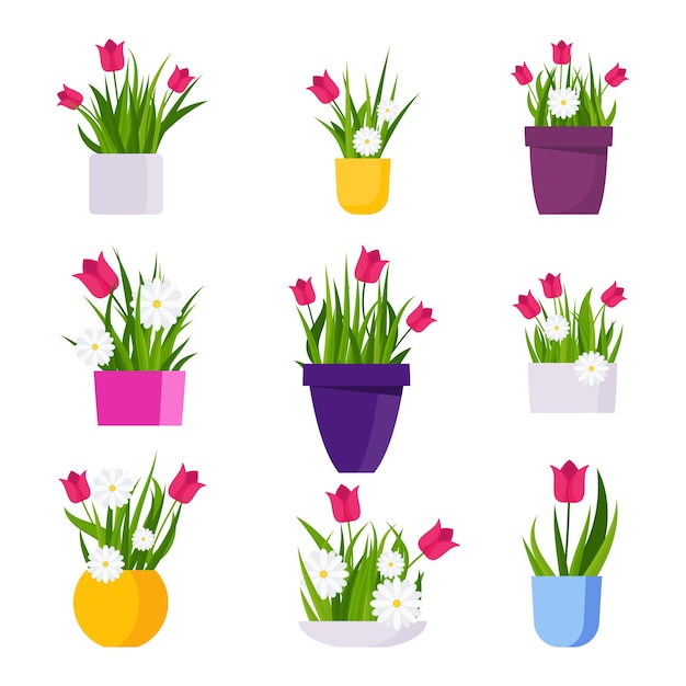 Conjunto de vasos de flores coloridas brilhantes com margaridas e tulipas. ilustração em vetor plana.