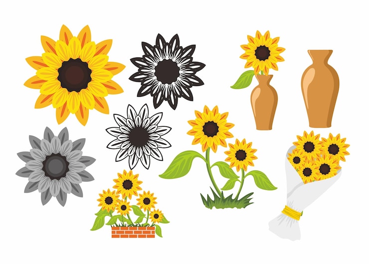 Vetor conjunto de vector de girassol para decoração de verão