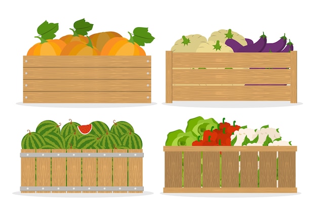 Conjunto de vegetais. alimentos em caixa de madeira. mercado com alimentos saudáveis. repolho e melancia, pimenta. ilustração