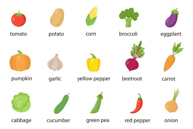 Conjunto de vegetais coloridos nomeados em inglês. Coleção de ilustrações.