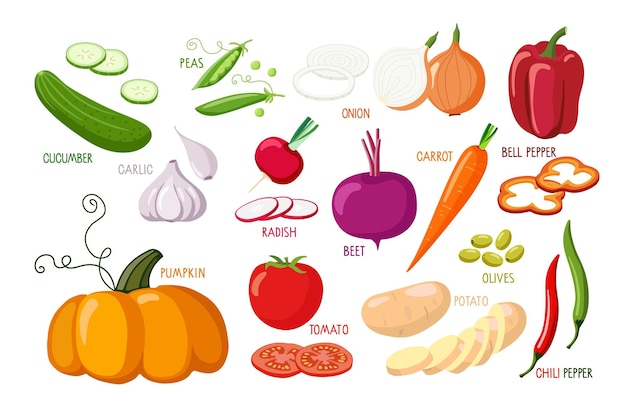 Conjunto de vegetais Ilustração em vetor comida saudável vegetariana