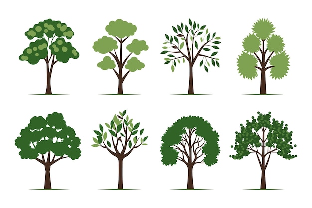 Vetor conjunto de vetores de árvores em estilo simples e plano isolado em fundo branco