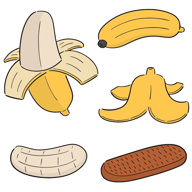 Conjunto de vetores de banana