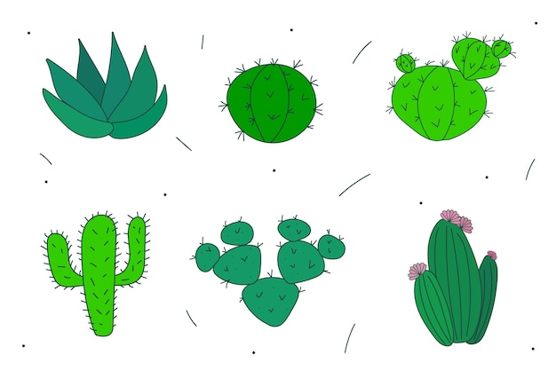 Conjunto de vetores de cactos brilhantes, aloe e folhas. Coleção de plantas exóticas. Elemento natural decorativo