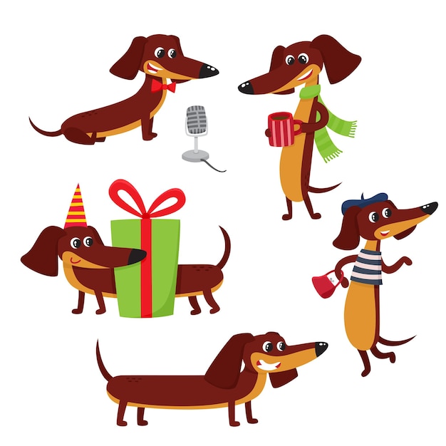 Vetor conjunto de vetores de dachshund engraçado marrom dos desenhos animados personagem de filhote de cachorro fofo e engraçado fazendo várias ações