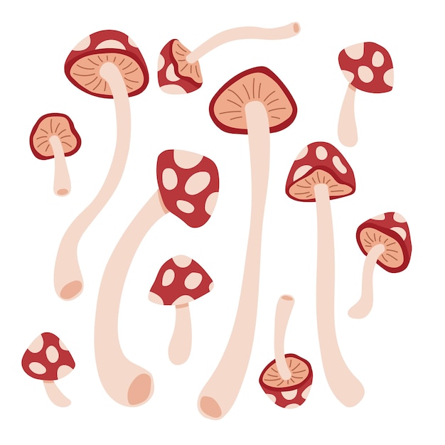 Vetor conjunto de vetores de desenhos animados de cogumelos fofos