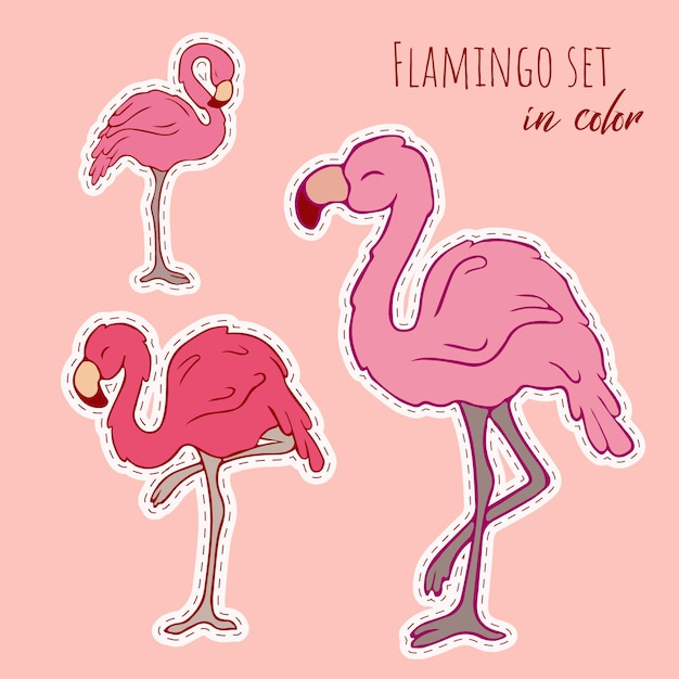 Conjunto de vetores de flamingos. vector .flamingos. doodle. contour bird. contorno. flamingo rosa.