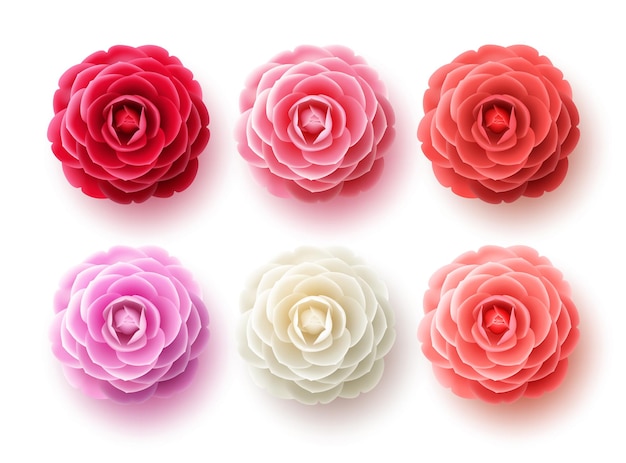 Conjunto de vetores de flores de camélia. coleção de flores de camélia e  rosa para a primavera com várias cores. | Vetor Premium