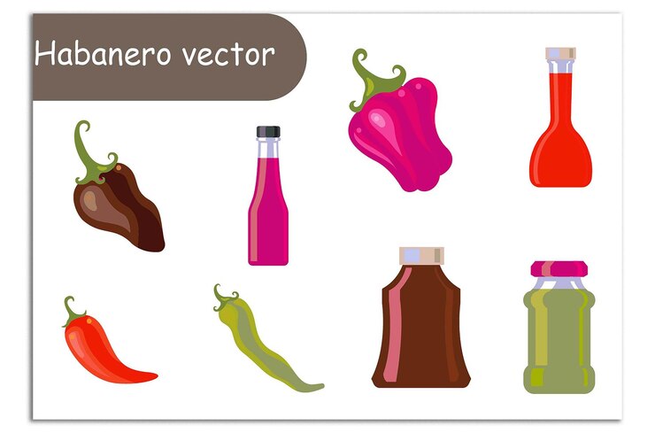 Vetor conjunto de vetores de habanero
