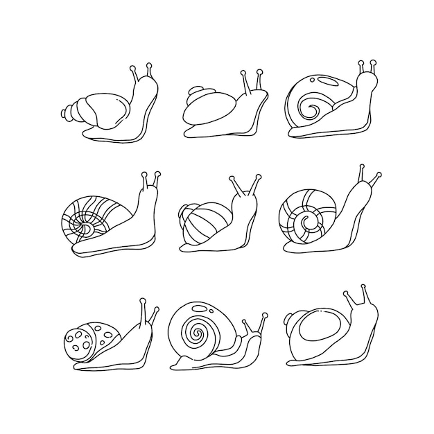 Vetor conjunto de vetores de ilustração de doodle desenhado à mão de caracol