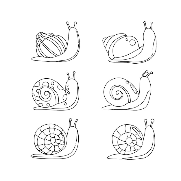 conjunto de vetores de ilustração de doodle desenhado à mão de caracol