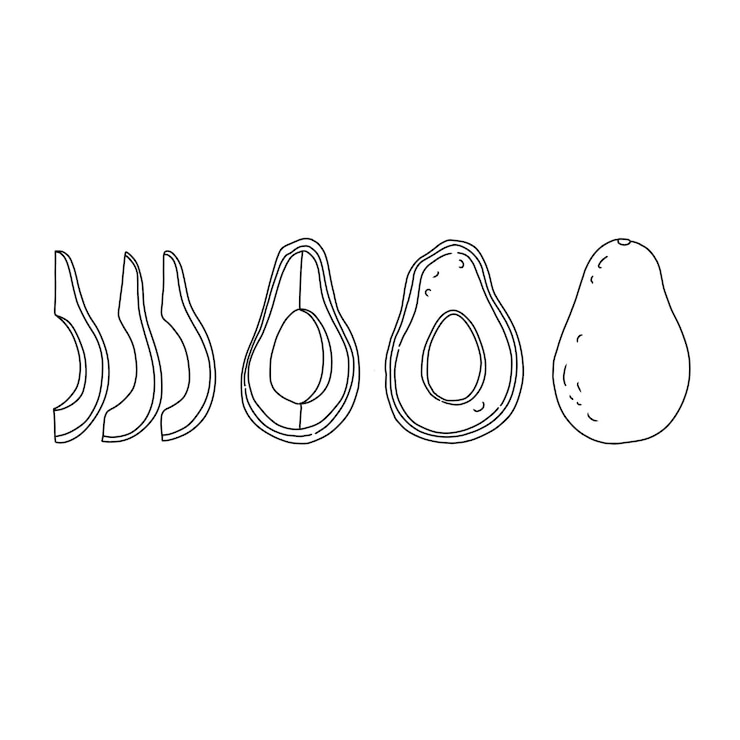 Vetor conjunto de vetores de ilustrações de rabiscos desenhados à mão de abacate
