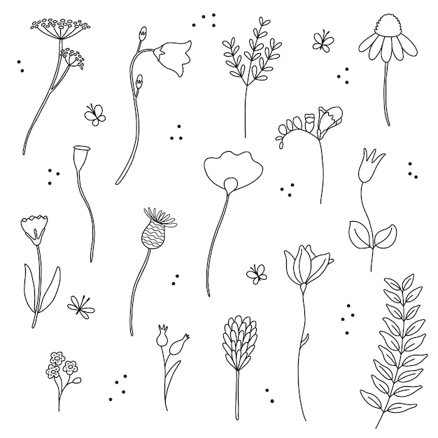 Vetor conjunto de vetores de linha de flores silvestres coleção de rabiscos de flores plantas de ervas e prados grama e borboletas
