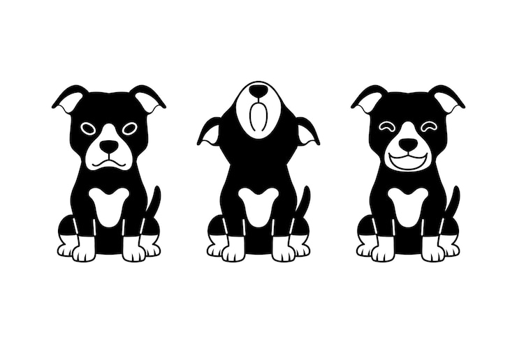 Vetor conjunto de vetores de personagens de desenhos animados em preto e branco pit bull terrier cão