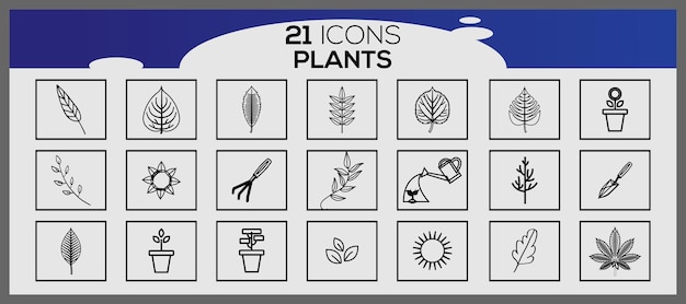 Conjunto de vetores de plantas desenhados à mão conjunto do ícone de diferentes plantas conjunto das plantas ornamentais