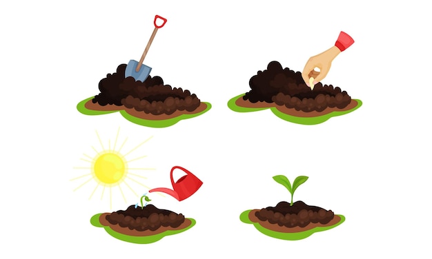 Conjunto de vetores de solo bruto e de sementes de plantação manual