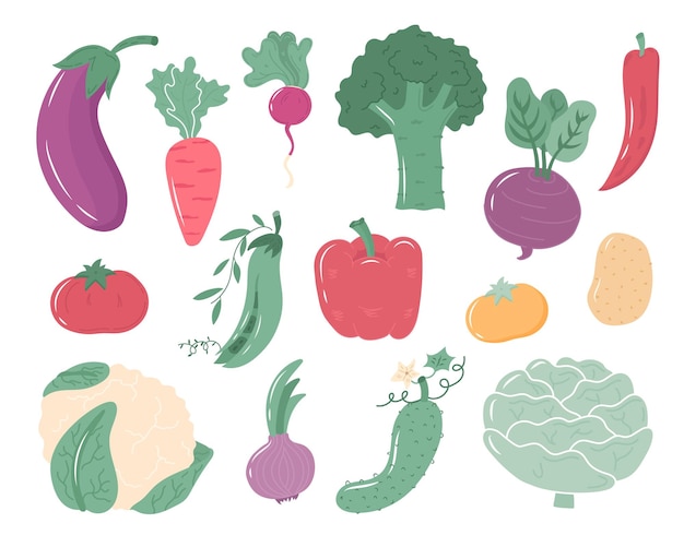 Conjunto de vetores de vegetais desenhados à mão dos desenhos animados vegetais coloridos