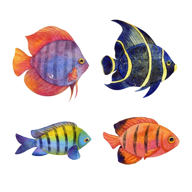 Conjunto de vetores em aquarela de peixes tropicais isolado no fundo branco