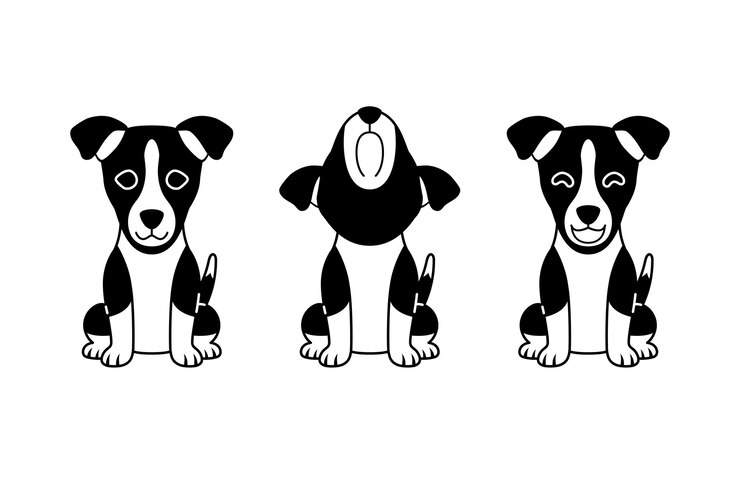 Vetor conjunto de vetores personagem de desenho animado preto e branco cão basenji bonito