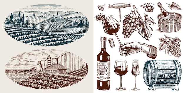 Conjunto de vinhedo e vinho Garrafa e copo de champanhe espumante Felicidades balde de gelo Saca-rolhas Cortiça Uvas barril de madeira Rótulos de videira Desenhado à mão Esboço vintage gravado para cartaz menu de restaurante