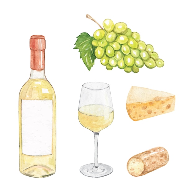 Vetor conjunto de vinho e queijo branco aquarela isolado no fundo branco. ilustrações desenhadas à mão com uvas verdes e garrafas de vinho