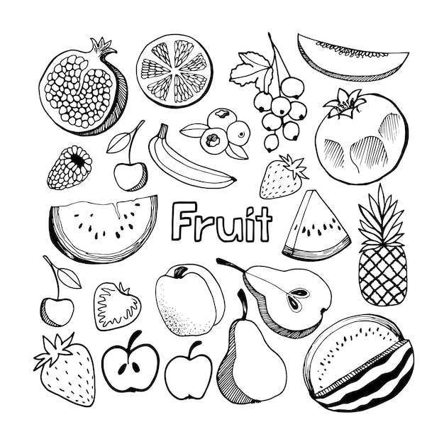 Vetor conjunto desenhado à mão de frutas e bagas ilustração vetorial em estilo doodle preto e branco