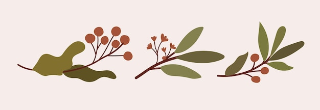 Conjunto desenhado à mão de ramos de plantas com folhas, flores e bagas vermelhas Ilustração de planta vetorial desenhada à mão