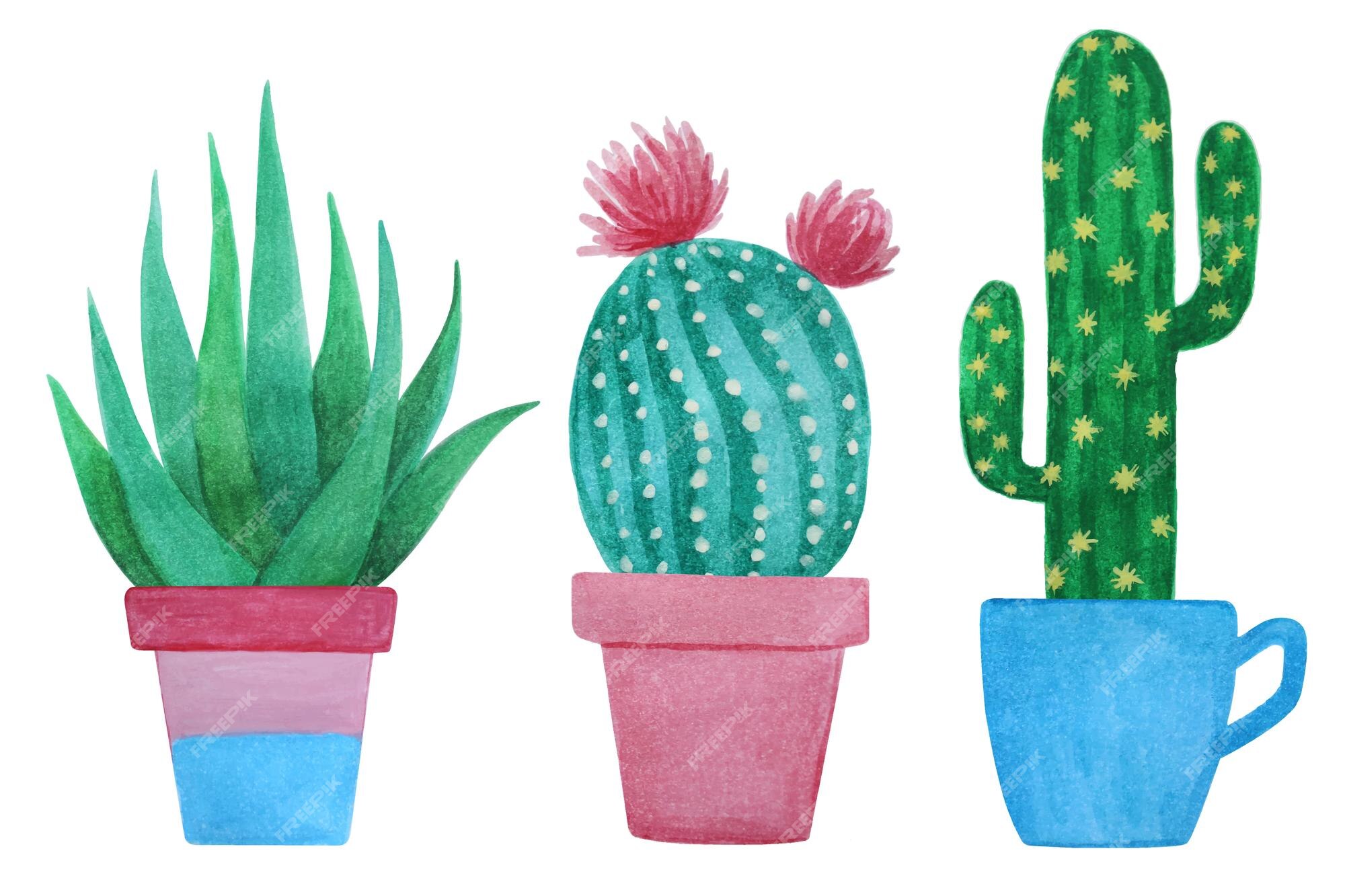 Ilustração Realista Do Vetor De Uma Planta Doméstica. Cactus Florescente  Suculento Num Vaso Ilustração do Vetor - Ilustração de desenho, cacto:  214390555