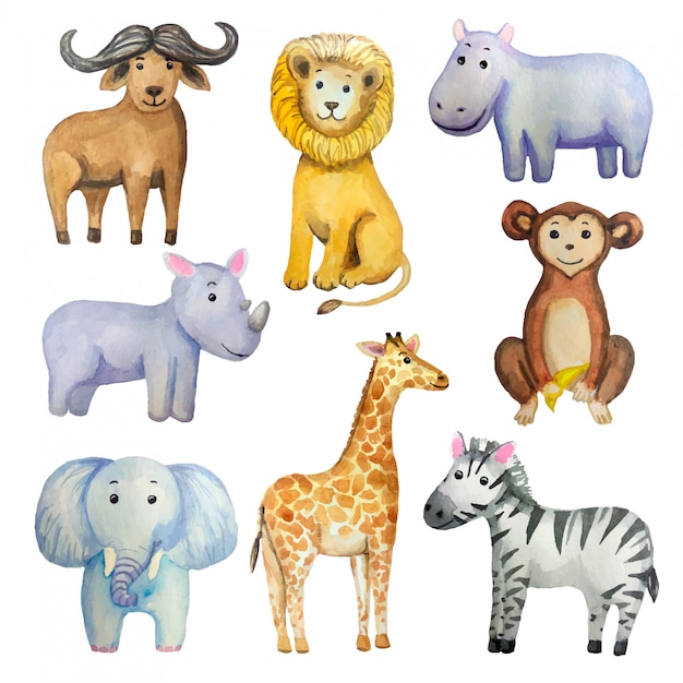 Conjunto em aquarela de animais exóticos tropicais: elefante, girafa, leão, macaco, zebra, hipopótamo, rinoceronte, búfalo.