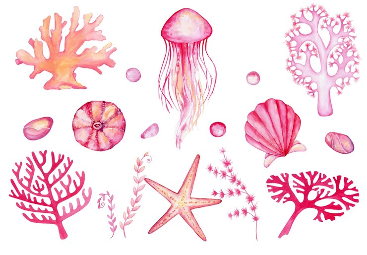 Conjunto em aquarela de elementos do mundo subaquático. Corais desenhados à mão, medusas, rochas, estrelas do mar, conchas do mar, sobre um fundo isolado.