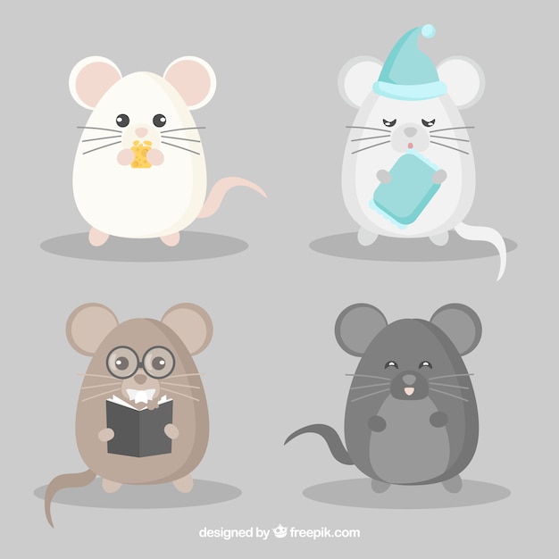 Conjunto engraçado de raças de ratos