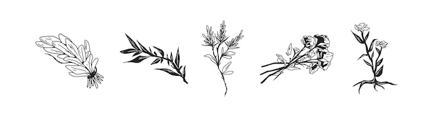 Vetor conjunto floral preto e branco de flores, plantas com folhas e ervas. coleção de elementos florísticos desenhados à mão. ilustração em vetor monocromático botânica isolada no fundo branco.