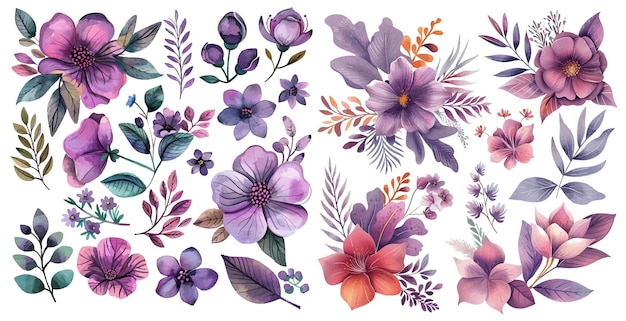 Conjunto floral vetorial colecção floral roxa colorida com folhas e flores aquarela de desenho