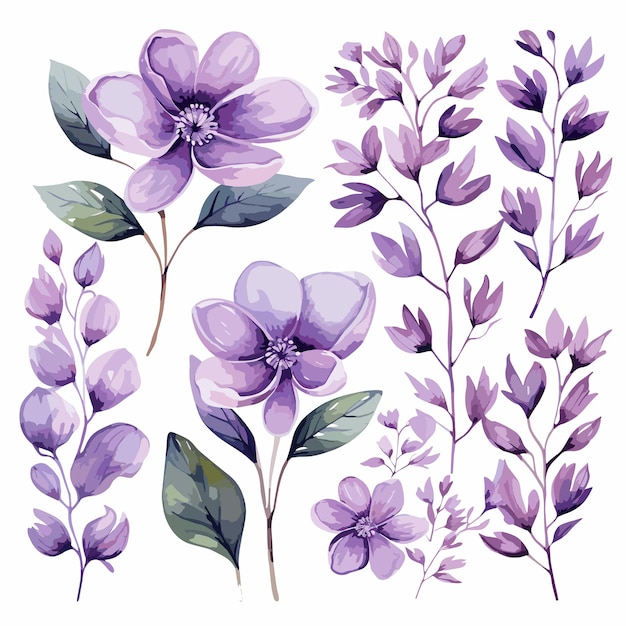 conjunto Funnytree Aquarela Púrpura Floral
