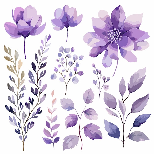 conjunto Funnytree Aquarela Púrpura Floral
