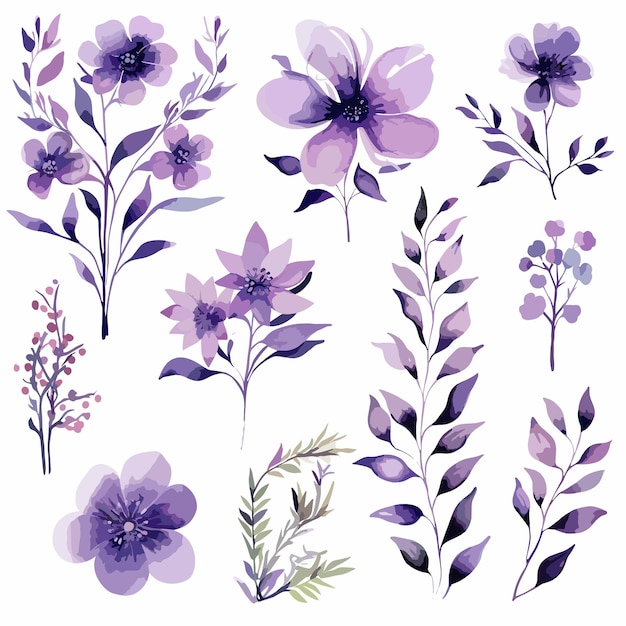 conjunto Funnytree Aquarela Púrpura Floral