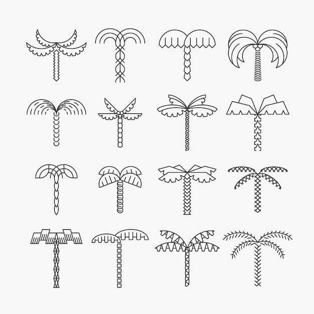 Conjunto gráfico de palmeiras, estilo linear, objetos isolados