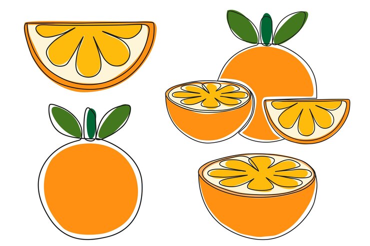 Vetor conjunto minimalista de frutas laranjas desenhadas à mão isolado em fundo branco
