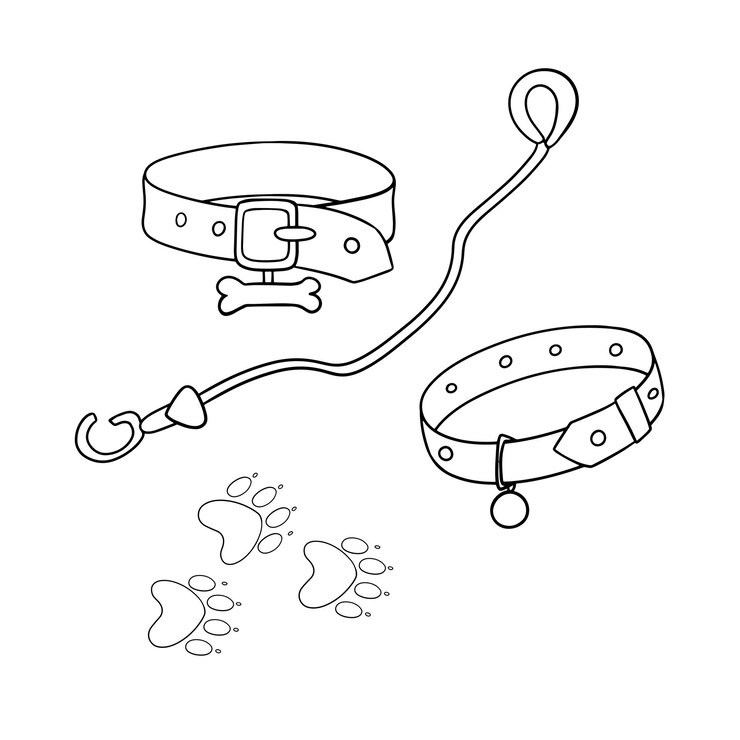 Vetor conjunto monocromático de ilustrações coleira de cachorro de couro com desenho de vetor de coleira de caminhada