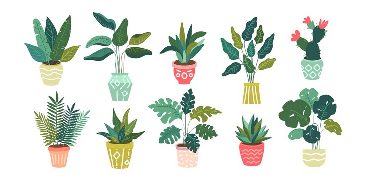 Conjunto sem emenda de diferentes ícones isolados de plantas domésticas verdes tropicais exóticas decorativas e flores em vasos coloridos.