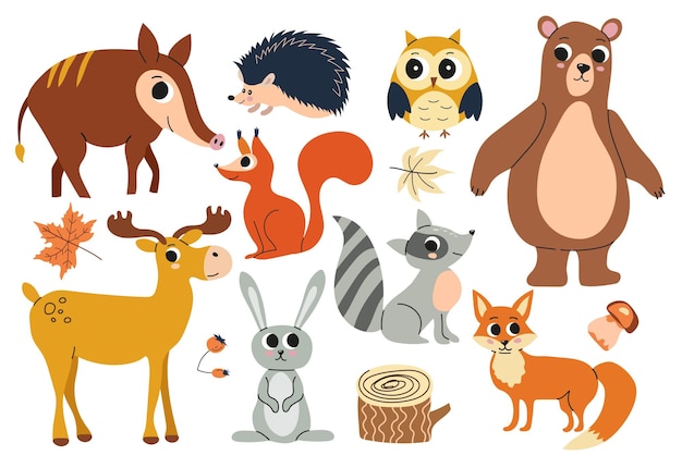 Conjunto vetorial de animais florestais bonitos, incluindo alce, lebre, ouriço, urso, javali, raposa, guaxinim, coruja