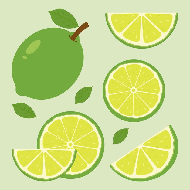 Vetor conjunto vetorial de diferentes tipos de limão verde frutas de verão para um estilo de vida saudável fruta orgânica vec